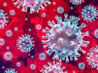 Már 155-en vannak lélegeztetőn, húsz koronavírusos meghalt