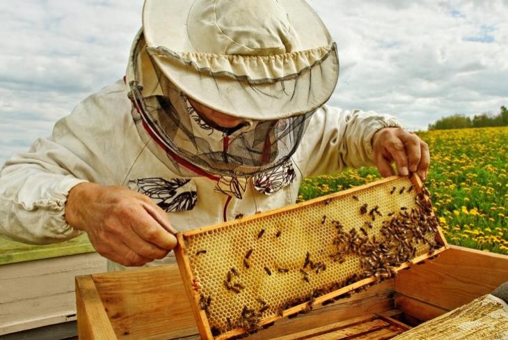 A mézesüvegeken kötelező lesz feltüntetni a méz származási helyét. Fotó: Depositphotos