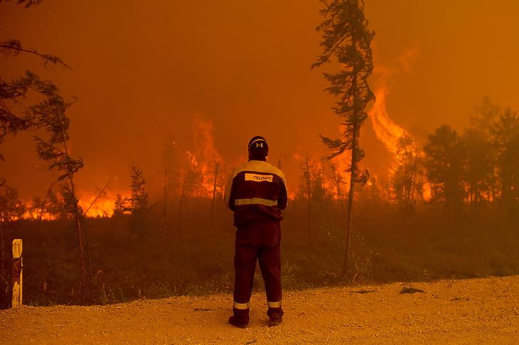 Erdőtüzet figyel egy tűzoltó a jakutföldi Gornij járásban fekvő Kjujoreljah település közelében 2021. augusztus 7-én. (Fotó: MTI/AP/Ivan Nyikiforov)