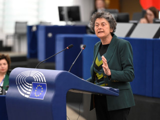 Tineke Strik
