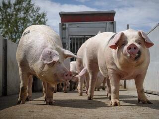 Végveszélyben az egyik legfontosabb uniós piac