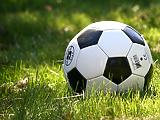 Tehetős magánszemélyek liblingje a felcsúti fociklub