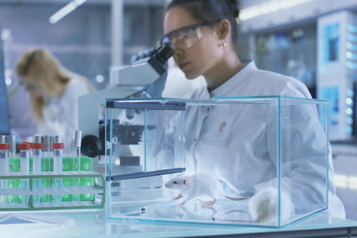 Algoritmusok a fecskendőben: Az Eli Lilly 2,75 milliárd dolláros AI-fogadása