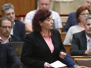 A DK most nagyon ráérzett, hogy mivel lehet megdönteni az Orbán-rendszert