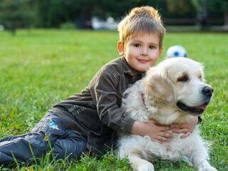 A Balatonnál is jön az ebadó