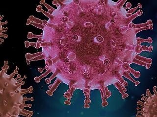 Újabb 163 koronavírusos beteg hunyt el